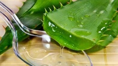Aloe Vera aumenta la efectividad de los hombres