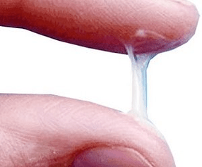 ¿Cómo es el flujo normal de un hombre