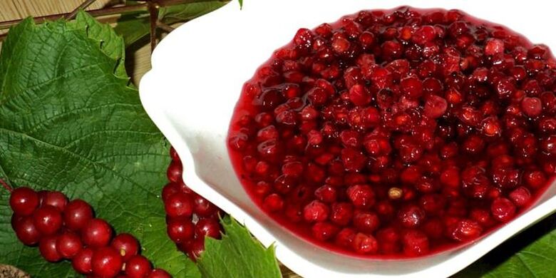Schisandra chinensis mejora la eficacia